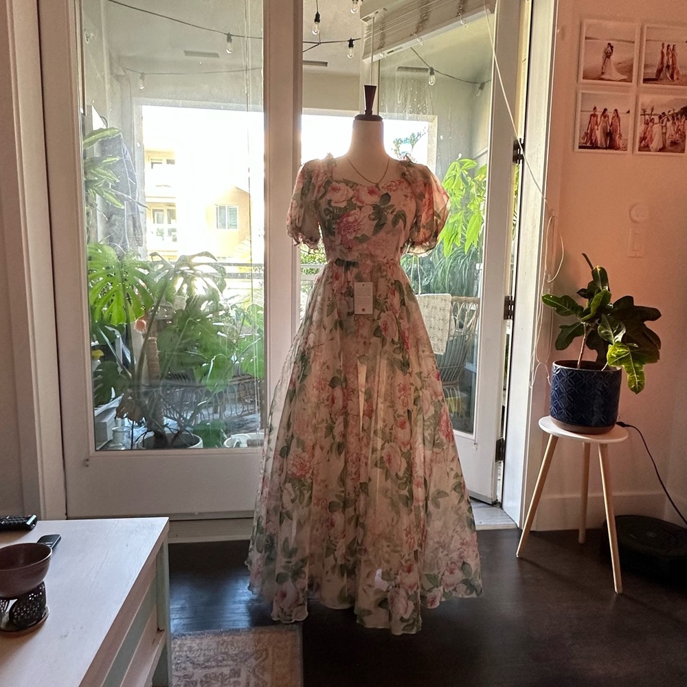 Ivy City XS fairylale floral print maxi dress